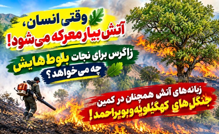 زبانه‌های آتش همچنان در کمین جنگل‌های کهگیلویه‌وبویراحمد!