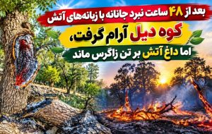 «کوه دیل» آرام گرفت، اما داغ آتش بر تن زاگرس ماند «کوه دیل» آرام گرفت، اما داغ آتش بر تن زاگرس ماند