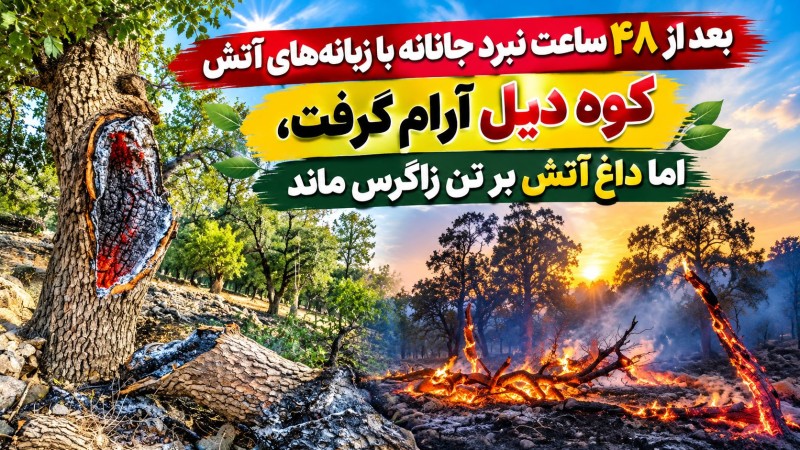 «کوه دیل» آرام گرفت، اما داغ آتش بر تن زاگرس ماند